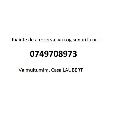 ホテル Laubert Călimăneşti エクステリア 写真